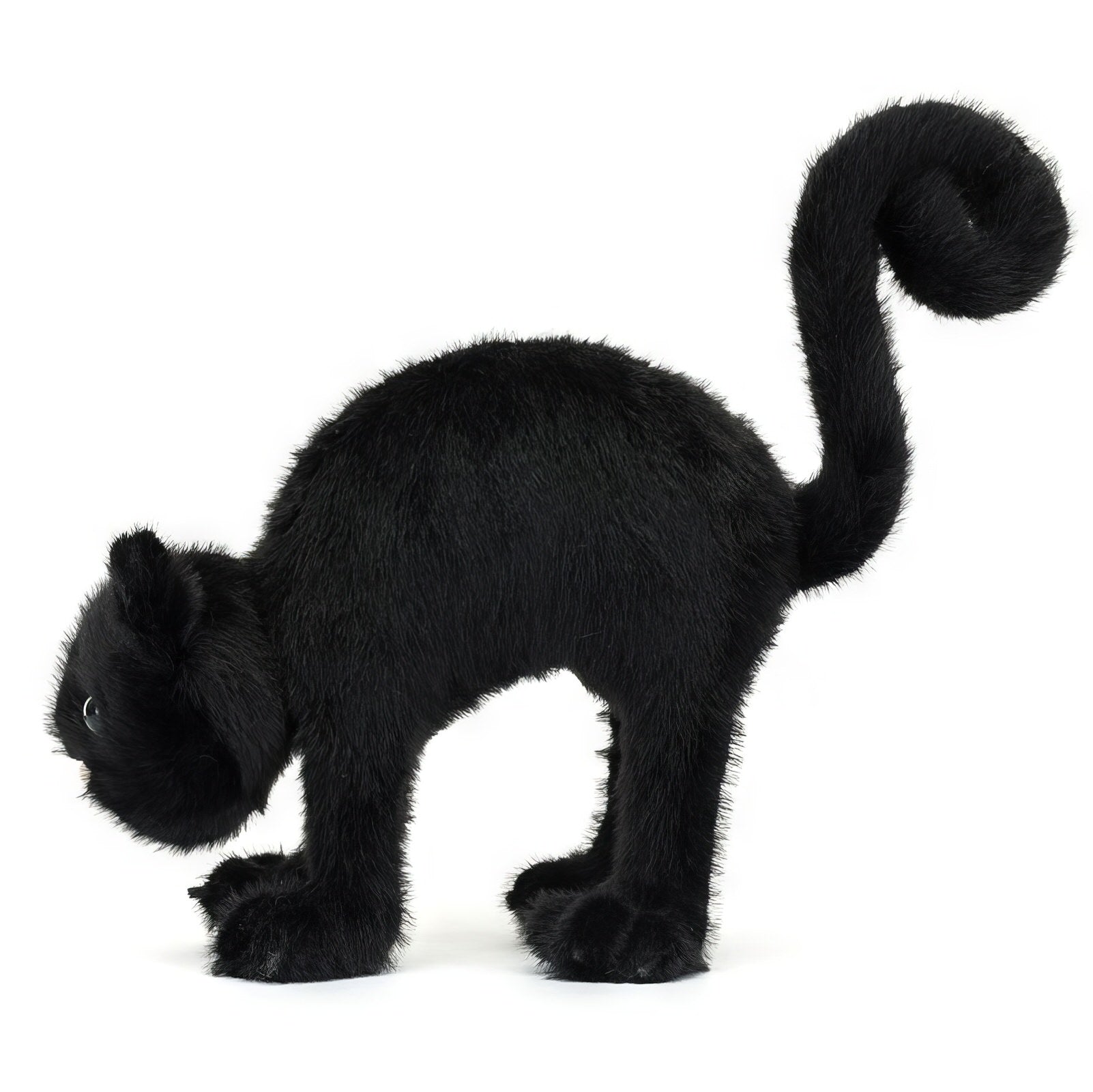 Spookipaws Cat Plush Toy